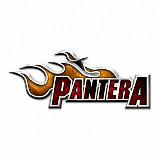 Pantera Flame Logo Mini Pin / Badge