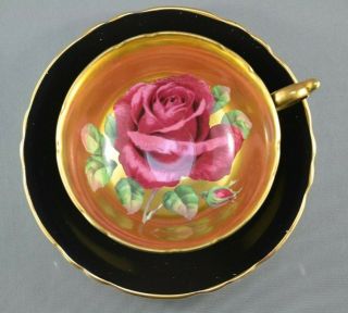 2 Paragon Large Floating Red Rose - Gold & Black - Wide Mouth Tea Cup & Saucer