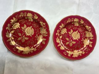8 WEDGWOOD Ruby Tonquin Dinner Plates (10 - 5/8 