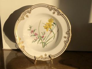 8 Spode China Stafford Flowers England 24cm 9½ " Rimmed Soup Plate Y8519 1st