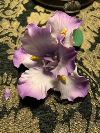 Capodimonte Fabar Purple Orchid Flower - Made In Italy - Read