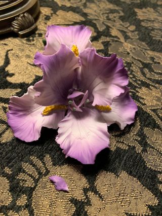 Capodimonte Fabar Purple Orchid Flower - Made in Italy - Read 2
