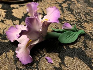 Capodimonte Fabar Purple Orchid Flower - Made in Italy - Read 3