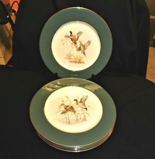 Set Of 6 Game Bird Plates,  Dinner Size,  " Eliot " China,  Nm Cond