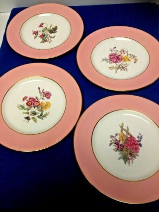 Set Of 4 Spode Copeland China 9 " Floral Design Salad Appetizer Dessert Plates