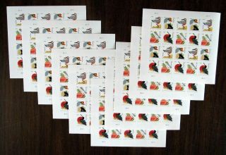 Usps Forever Postcard Coastal Birds Stamps 200 Stamps - 10 Sheets Of 20 Stamps