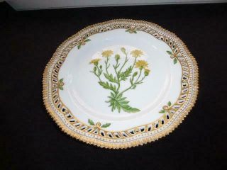Royal Copenhagen Flora Danica Pierced Luncheon Plate 9 " Senecio Jacobea L 3554