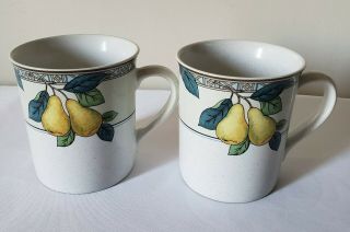 Studio Nova Garden Gallery Hg246 Coffee Mugs Cups 14 Oz.  Set Of 2