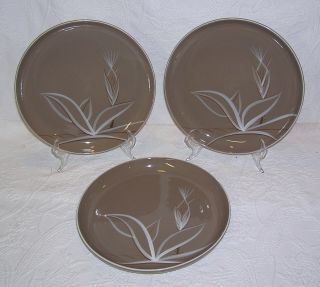 3 Winfield Pottery China Desert Dawn 10 - 1/4 " Dinner Plates - Brown White Flower