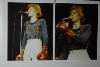 David Bowie Unpublished Photo Set 3 Pittsburgh,  Pa 1976 6 Images