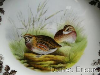 Spode Woodland Quail Game Bird,  England: Salad Plate (s),  7 3/4 