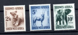 South West Africa 1954 2s 6d To 10/ - Lhm Sg163 - 165 Ws15705