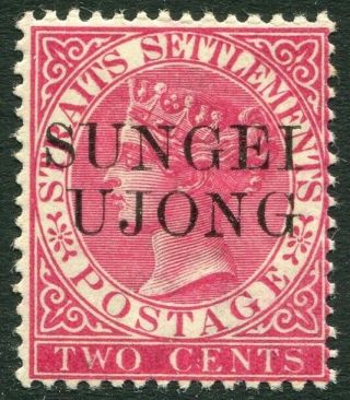 Sungei Ujong - 1890 2c Bright Rose Sg 43d Mounted V32442