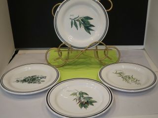 Set Of 4 Williams Sonoma Herb Themed 8.  5 " Salad Plates