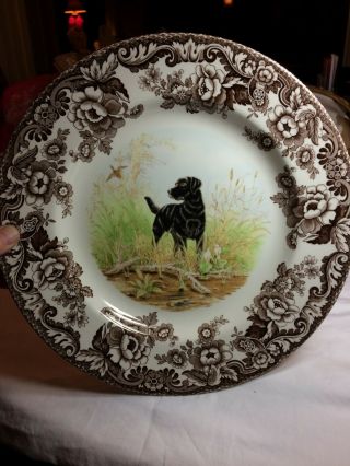 Spode Woodland Dinner Plate Hunting Dogs Black Labrador 10.  5 Inches
