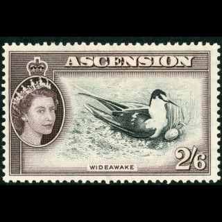 Ascension 1956 2s 6d Sooty Tern.  Bird.  Sg 67.  Lightly Hinged.  (we093)