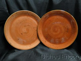 Steelite Performance Craft,  England: Terracotta Coupe Dinner Plate (s),  10 