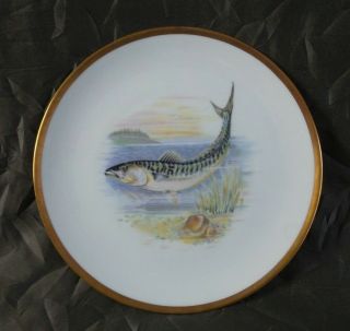 Great Hutschenreuther Bavaria,  Germany Porcelain Fish Plate - Atlantic Mackerel