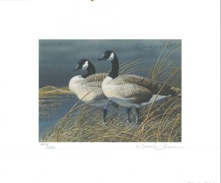 Nebraska 1 1991 State Duck Stamp Print Canada Geese By Neal Anderson