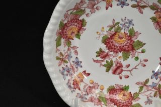 Spode Aster Red Gadroon 2/8130 Coupe Cereal Bowl 2