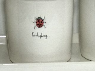 Rae Dunn Ladybug,  Bumblebee,  Drangonfly Pottery Flower Set With Tray. 3