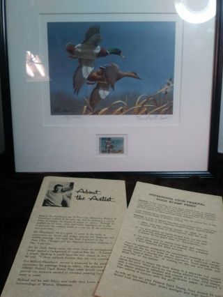 1980/81 Us Federal Duck Stamp & Print Both Signed By Artist Richard Plasschaert