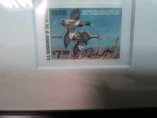 1980/81 US Federal Duck Stamp & Print Both Signed By Artist Richard Plasschaert 3
