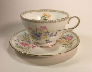 Shelley Wild Flowers Tea Cup & Saucer Set 13668