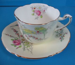 Paragon Cup & Saucer Light Yellow With Parrots Birth Of Princess Margaret