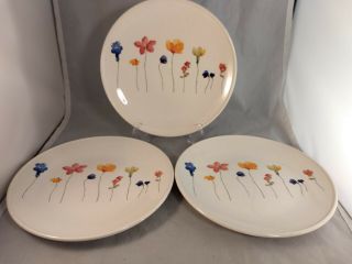 Set Of 3 Royal Stafford Scattered Flowers Coupe Dinner Plates