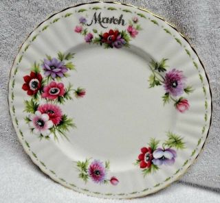 Royal Albert Flower Of The Month March 1970 Plate