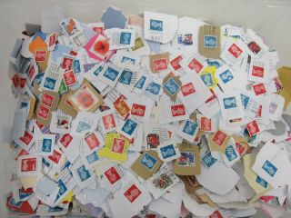 Unsorted 5kg Charity Stamps Mainly Uk Franked - Tro Sc1