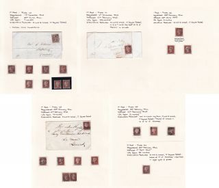 Gb.  Qv.  1d Red Brown Study.  Plates 40 - 45. ,  Entire 