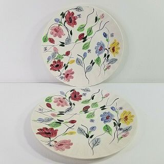 Blue Ridge Pottery 2 Chintz Dinner Plates Hand Painted Southern Pottery Vtg 10 "