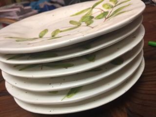 Set Of 6 Napa Home & Garden Made It Italy Olive Salad Plates NWT - Over $200 2