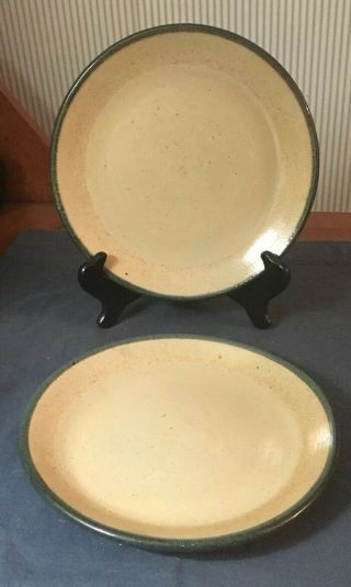 2 Vintage Monroe Salt 8 3/4” Plain Plates Salt Glaze Stoneware Pottery