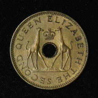 1955 Rhodesia And Nyasaland 1/2 Penny Uncirculated Red Brown Giraffe Coin