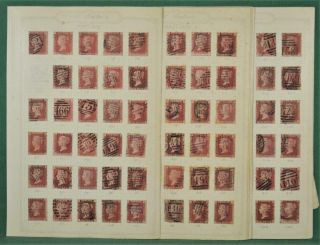 Gb Stamps Victoria 1d Penny Red Plate Numbers Complete Set No77 On 6 Pages (l3)