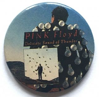 Pink Floyd Delicate Sound Of Thunder Old Og Vtg 1980`s Button Pin Badge 32mm