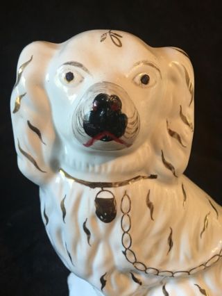 Antique 19c English Staffordshire Spaniel Dog With Gold Gilt Painted Accents