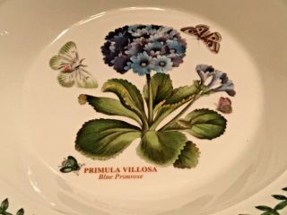 Portmeirion Botanic Garden Blue Primrose Soup Bowl 8 1/2 Inches 2