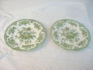 Two Vintage Enoch Wedgwood Kent Green Multi Color Transfer Ware Dinner Plates
