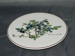Villeroy & Boch Botanica Porcelain Hot Plate Serving Plate Vaccinium Myrtillus