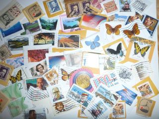 High Value/airmail Stamps - One Full Pound - On Paper