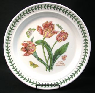 Portmeirion Botanic Garden - Pink Parrot Tulip - Dinner Plate - England - Nwt