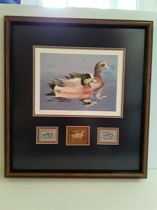Framed Federal Duck Stamp Print 50th Anniversary Edition
