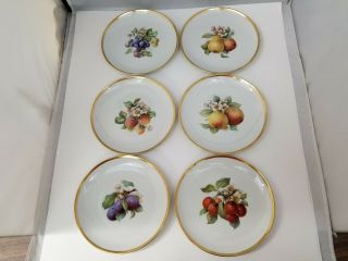 Hutschenreuther Selb Lhs Fruit Side Plates Set Of 6 Pasco Bavaria Germany 8 "