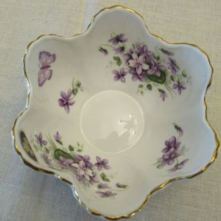 Aynsley " Wild Violets " Small Bowl - Violets & Butterfly Inside,  Shells Outside