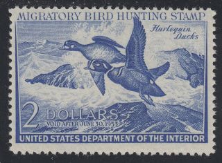 Tdstamps: Us Federal Duck Stamps Scott Rw19 Nh Og Cv$90.  00