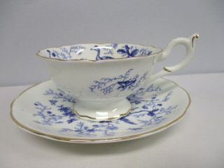 Coalport Cairo Blue On White With Gold Trim Tea Cup & Saucer
